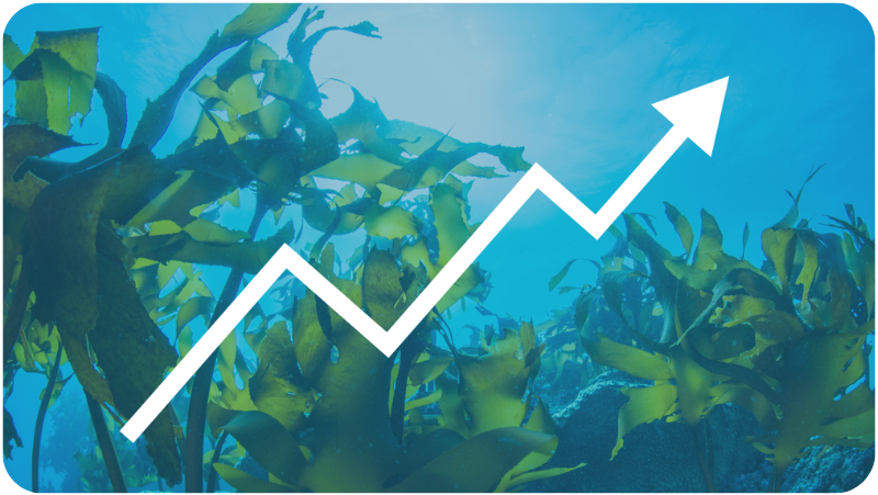 3 Rev Metrics